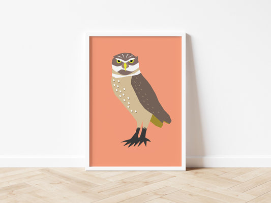 Burrowing Owl - Art print A5/A4/A3