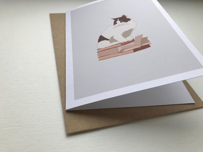 Cat & Books - Greeting, Birthday Card